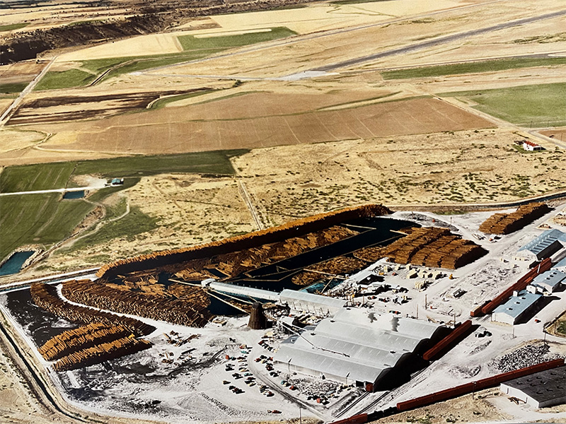 jefferson plywood before fire in 1966 Jefferson Plywood Company Plant in the 1960s