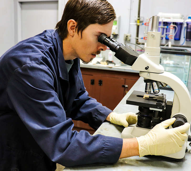 Using a microscope in Bright Wood’s R&D lab