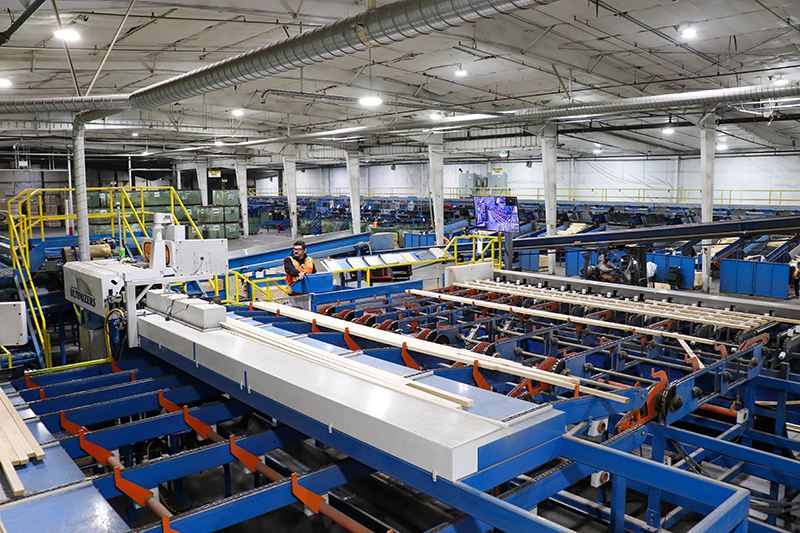Inbound to automatic cut-of saws in Madras Plant 1 in 2025