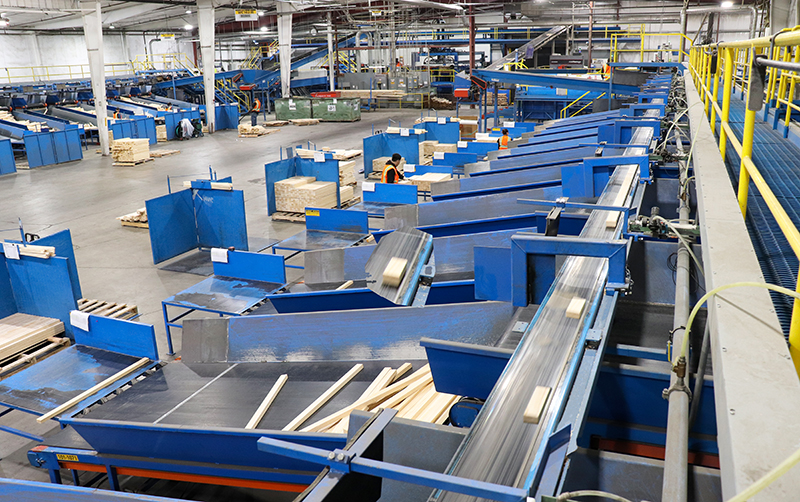 Sorting area in Madras Plant 1 in 2025